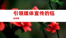 钰尚传媒：专业产品宣传软文推广  引领媒体宣传、文章收录和软文营销趋势、品牌软文发布