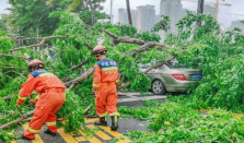 台风蝴蝶致三亚榴莲掉满地 2025台风蝴蝶造成了多少损失