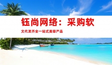 钰尚网络：一站式美容产品软文代发、媒体宣传、文章收录，助您成功实现软文营销！(70个字符)、品牌软文发布