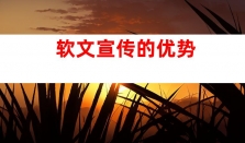 æåè½¯æå®£ä¼ çéè¦æ§
