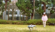 华东理工大学“脑控机器狗”新突破，戴着智能头环就能“遛狗”