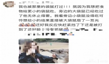游客在上海野生动物园被袋鼠暴揍 游客在野生动物园被袋鼠打