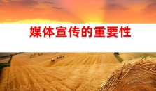 é°å°ä¼ åªï¼ä¼ä¸å®£ä¼ æç« æ¨å¹¿ï¼åªä½å®£ä¼ ãè½¯æåå¸ï¼åæå¤ååç¨¿æ¸ é